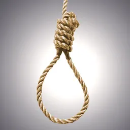 nooses