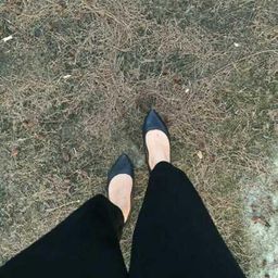 novirifkayani