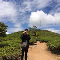 ntkenn