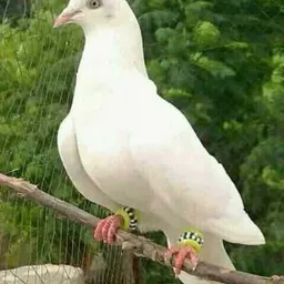 ohhhhh