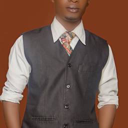 olaenterprise