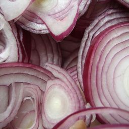 onionguide