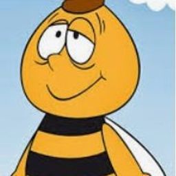 paco256