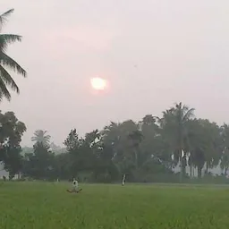 paimin