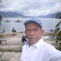pedro.aulia