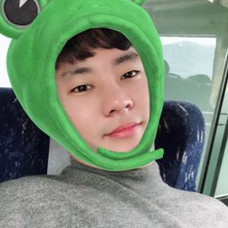 petkorea