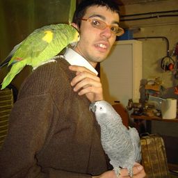 pietro087