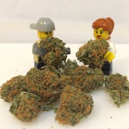 pilotdave3
