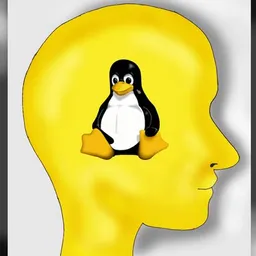 pinguinside