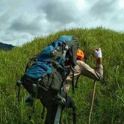 pitung