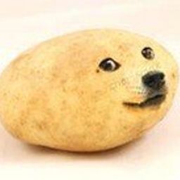potatoturtle