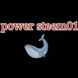 powersteem01