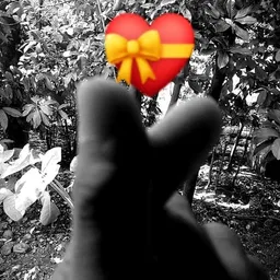projsendaheart
