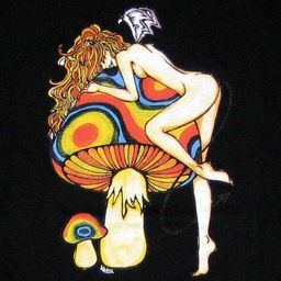 psybin