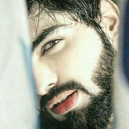 ptclpk