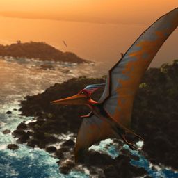 pterodactylo