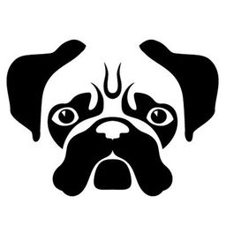 pugriffs
