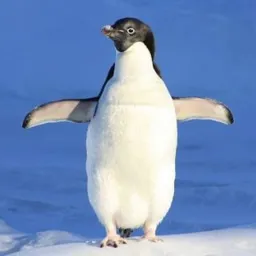 quickpenguin