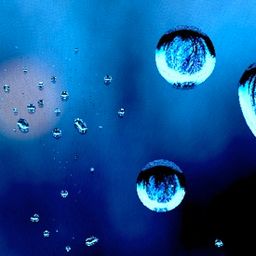 rainy.window