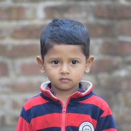 rakib320