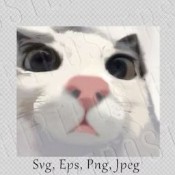 ratxd