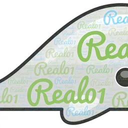 real01