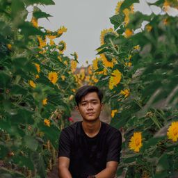 renovaditya13