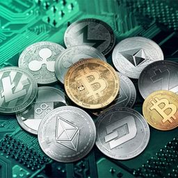 report.btc