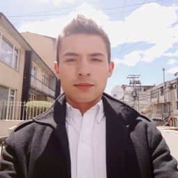 reyloco