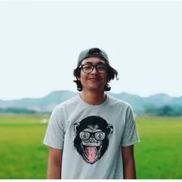rezafachlevy