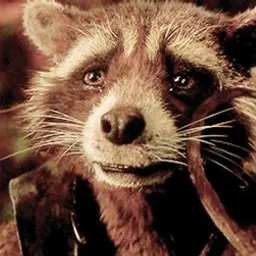 rocket-racoon