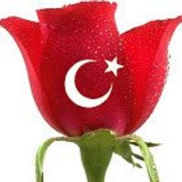 rosetrader