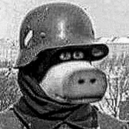 rozenbah