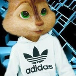 sabitovv