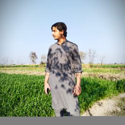 safdarali