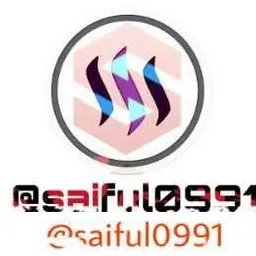 saiful0991