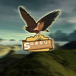 samsuldesigner