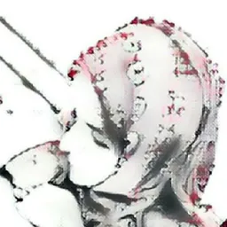 sanzi13
