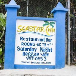 seastarinn