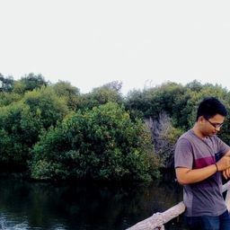 septyadf1