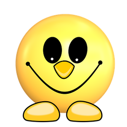 shakiluddin