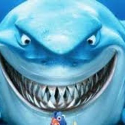 sharkboy