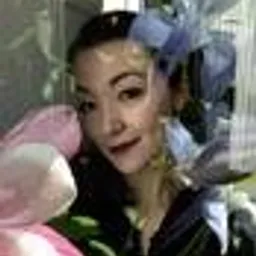 shibamo