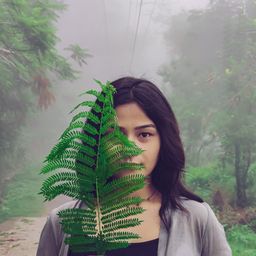 shikha1995