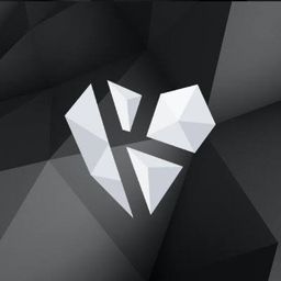 socketpro1