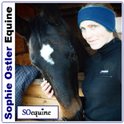 soequine