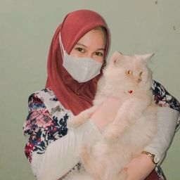sofinofianty