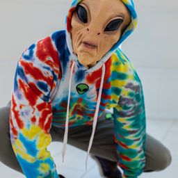 spaceinsect