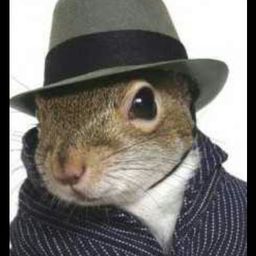 squirrelteacher