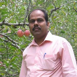 srini